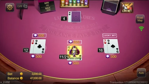 Blackjack Lucky Ladies