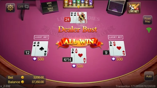 Blackjack Lucky Ladies