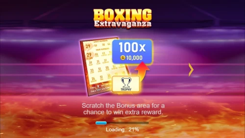 Boxing Extravaganza