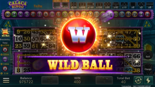 Calaca Bingo