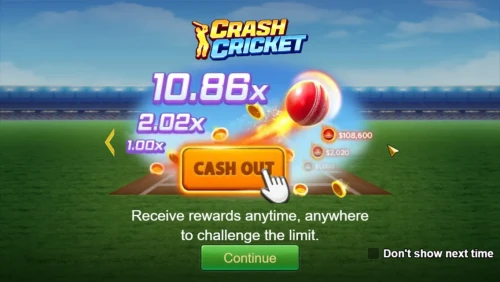 Crash Cricket