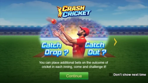 Crash Cricket