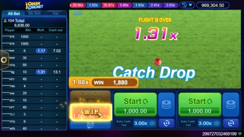 Crash Cricket