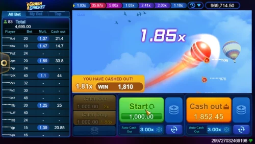 Crash Cricket