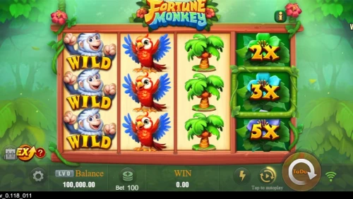 Fortune Monkey