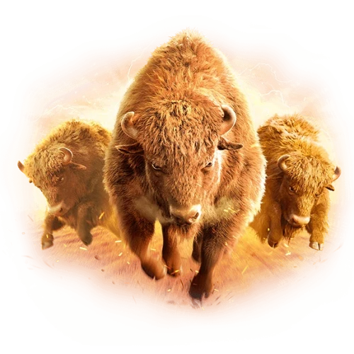 Buffalo Win